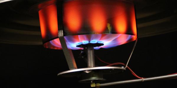 heating-infrared-brooder-shen-beam-40