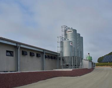 feed-bins-silos
