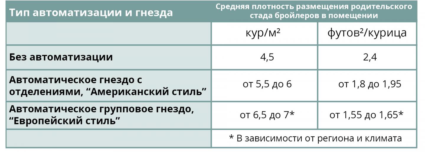 market-trends-broiler-breeders-ru